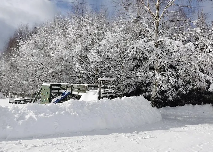 Zielone Okiennice Appartement *